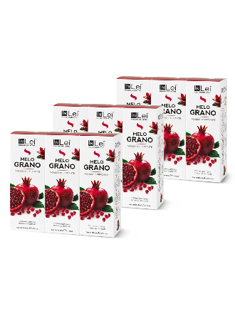 InLei® MOUSSE GRANATAPFEL – Tischaufsteller, 9 × 100 ml